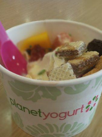 Planet Yogurt